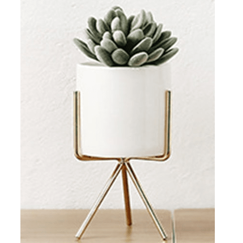 

حاملة نباتات أنيقة - متوسط